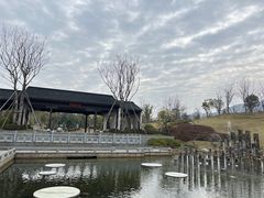 -雅达·阳羡溪山小镇中心