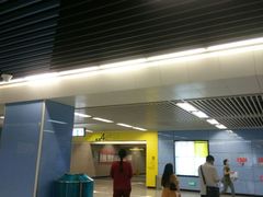 -大龙山(地铁站)