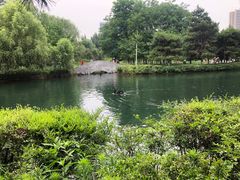 -长白岛森林公园