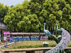 -广东花都香草世界旅游度假区