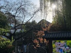 -环城公园