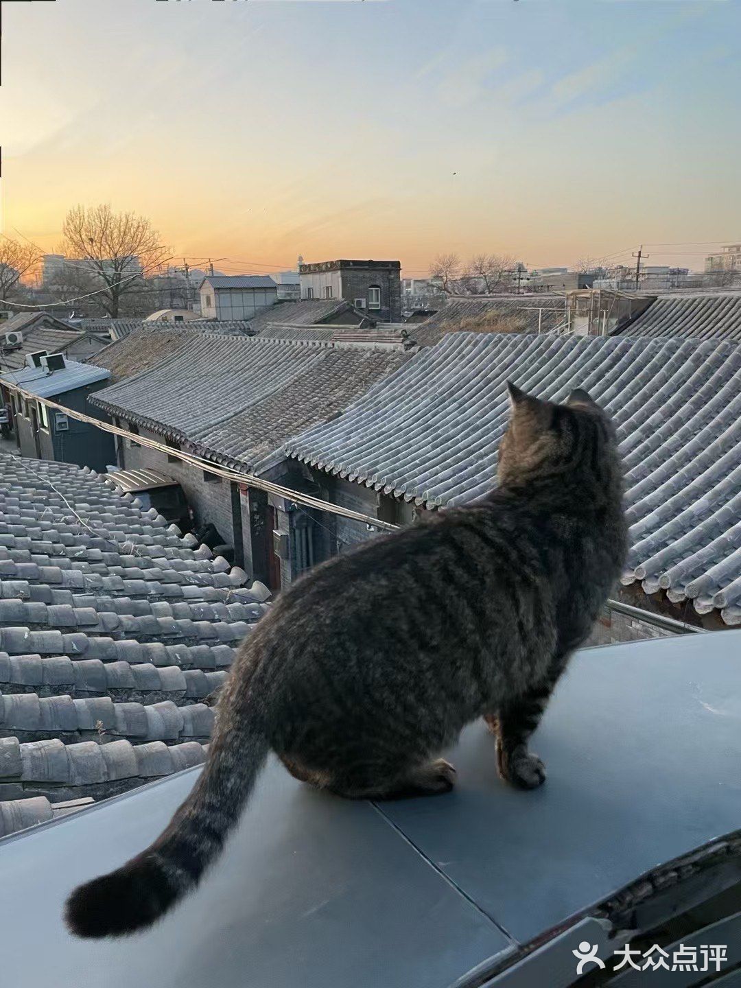 露台☕️看日落🌄藏在胡同里的静谧之地[偷笑]