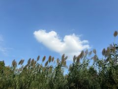 -沙家浜风景区