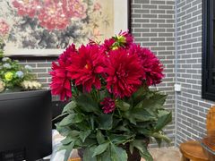 -粥旺庄(芳村店)