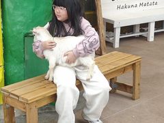 -正佳雨林生态植物园