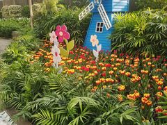 -南宫五洲植物乐园