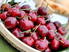 -火舞泰·泰式海鲜火锅餐厅(世纪城店)