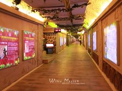 景点-青岛葡萄酒博物馆