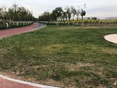 -天津东丽湖风景区