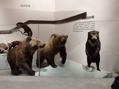 -长江文明馆