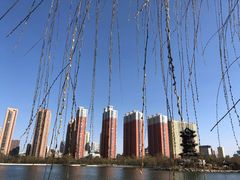-迎泽公园