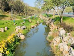 -羊山湖公园