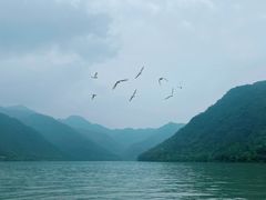 -严子陵钓台(富春江小三峡)