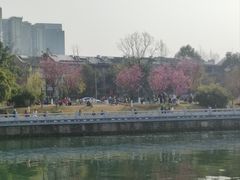 -望江楼公园