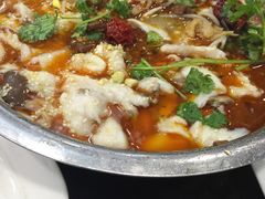 -龙梅肥肠鱼(明瓦廊店)