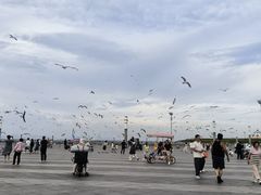 -东港音乐喷泉广场