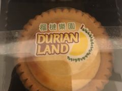 -榴梿乐园