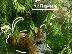 -五龙山野生动物王国