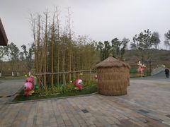 -黄龙溪欢乐田园