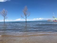 -青海湖国家重点风景名胜区