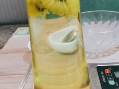 -探窝·竹笙椰子鸡(杨箕店)