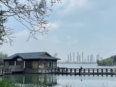 -渤公岛生态公园