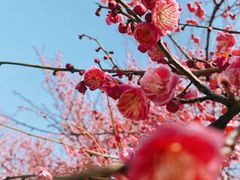 -天鹅湖体育公园