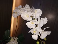 -榛悦隆堡成都酒店(春熙路太古里店)