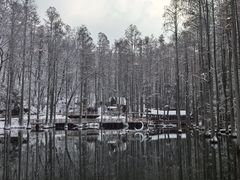 -波尔登森林公园