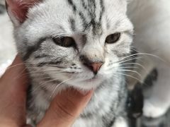 -龙湖西安曲江天街