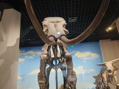 -国家自然博物馆