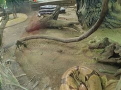 -大连森林动物园