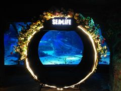 -沈阳海洋探索中心