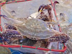 -驻海渔市(置信店)