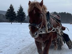 -北极村旅游风景区