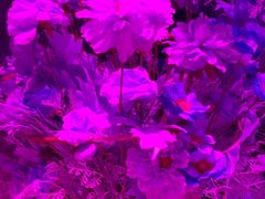 -方糖KTV-PLUS(世茂广场店)