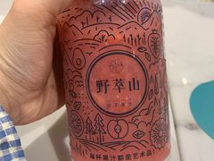 -野萃山·潮汕厚果汁(十亩地店)