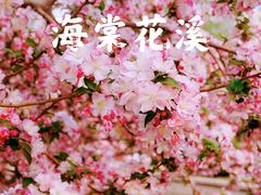 -海棠花溪(元大都城垣遗址公园)