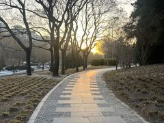 -元大都城垣遗址公园