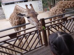 -泉州海丝野生动物世界