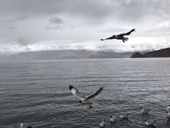 -班公湖
