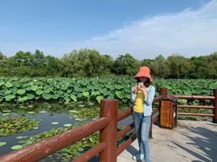 -长兴太湖图影湿地文化园