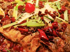 老板恋上鱼-老板恋上鱼(印象城店)