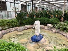 -南宫五洲植物乐园