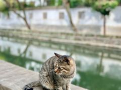 -西园戒幢律寺