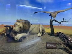 -国家自然博物馆