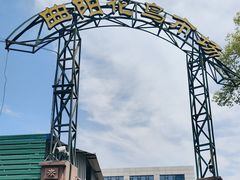 -曲阳花鸟市场(曲阳路店)
