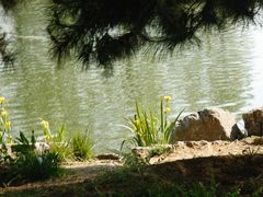 -马家湾湿地公园
