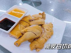 -渔鸽皇酒楼(鸿大广场店)