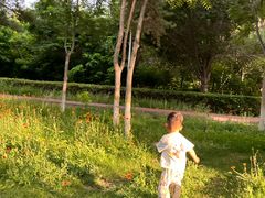 -鲤鱼山公园